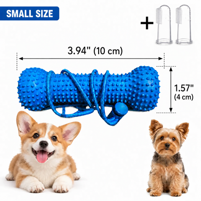 Adjustable neck strap dog tooth cleaning chew stick