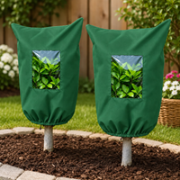 Green（2pcs）