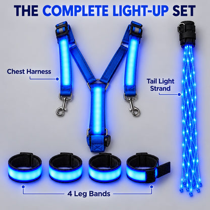 LED Horse Visibility Gear Set – Light Up Chest Harness, 4 Leg Bands & Tail Light for Night Riding