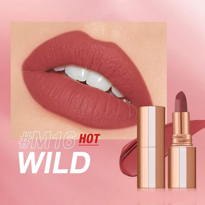 Waterproof Matte Velvet Lipstick