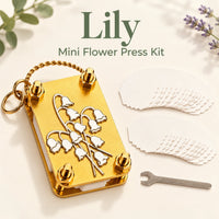 🤍 Lily