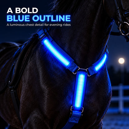 LED Horse Visibility Gear Set – Light Up Chest Harness, 4 Leg Bands & Tail Light for Night Riding