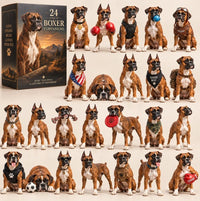 Boxer