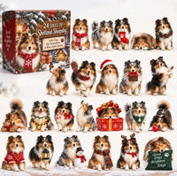 Shetland Sheepdog