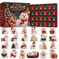 Maltese