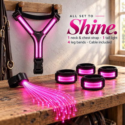 LED Horse Visibility Gear Set – Light Up Chest Harness, 4 Leg Bands & Tail Light for Night Riding
