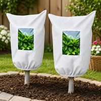 White （2pcs）