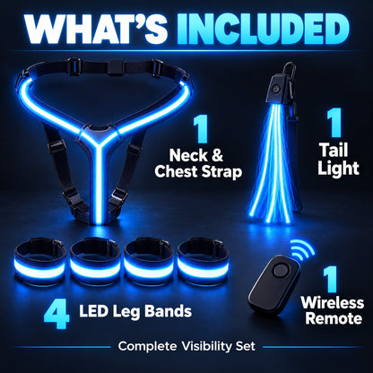 LED Horse Visibility Gear Set – Light Up Chest Harness, 4 Leg Bands & Tail Light for Night Riding