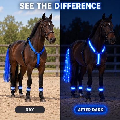 LED Horse Visibility Gear Set – Light Up Chest Harness, 4 Leg Bands & Tail Light for Night Riding