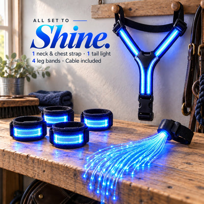 LED Horse Visibility Gear Set – Light Up Chest Harness, 4 Leg Bands & Tail Light for Night Riding