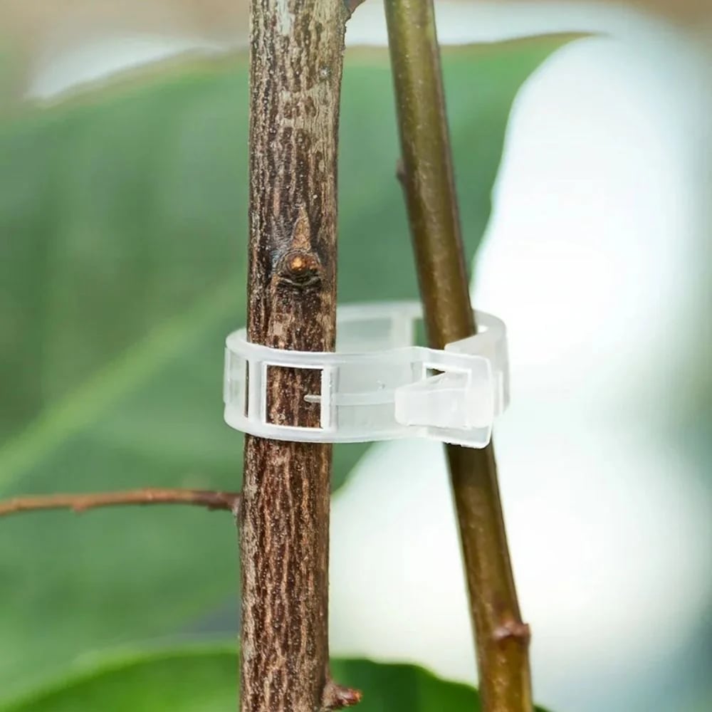 reusable-plant-support-clips-100-clips-6089