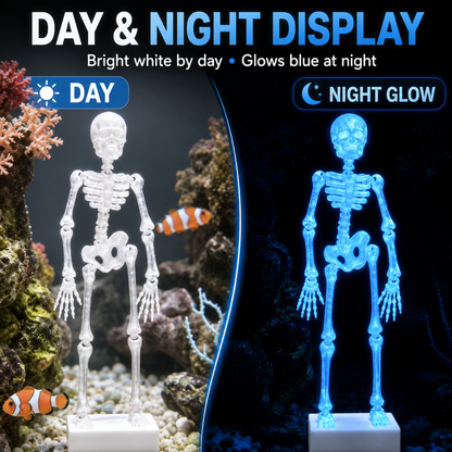 🌊 Fish-Safe Poseable Skeleton Decor 💀