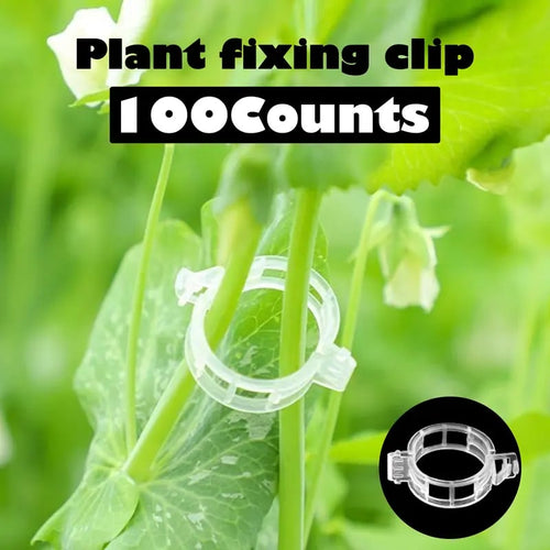 grow-upright-grow-stronger-100-pack-professional-plant-support-clips-2832