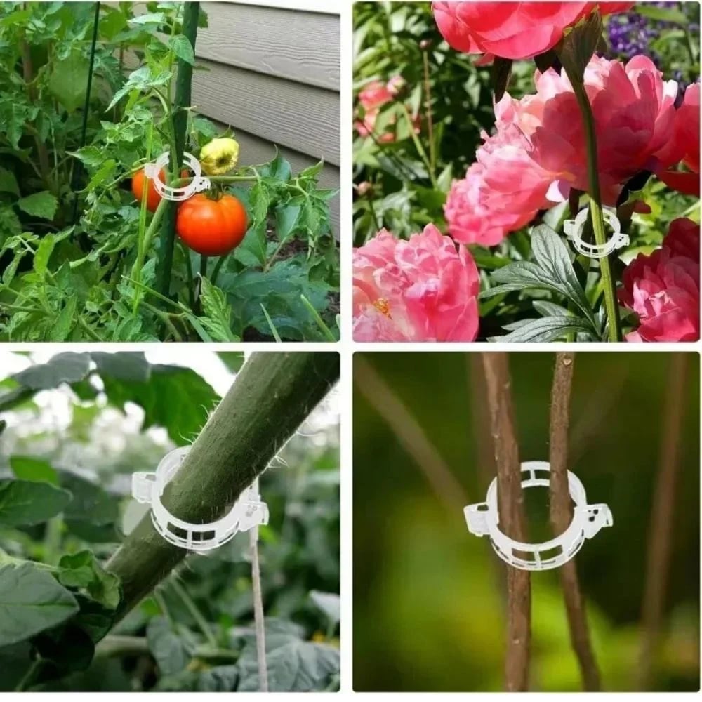 reusable-plant-support-clips-100-clips-6089