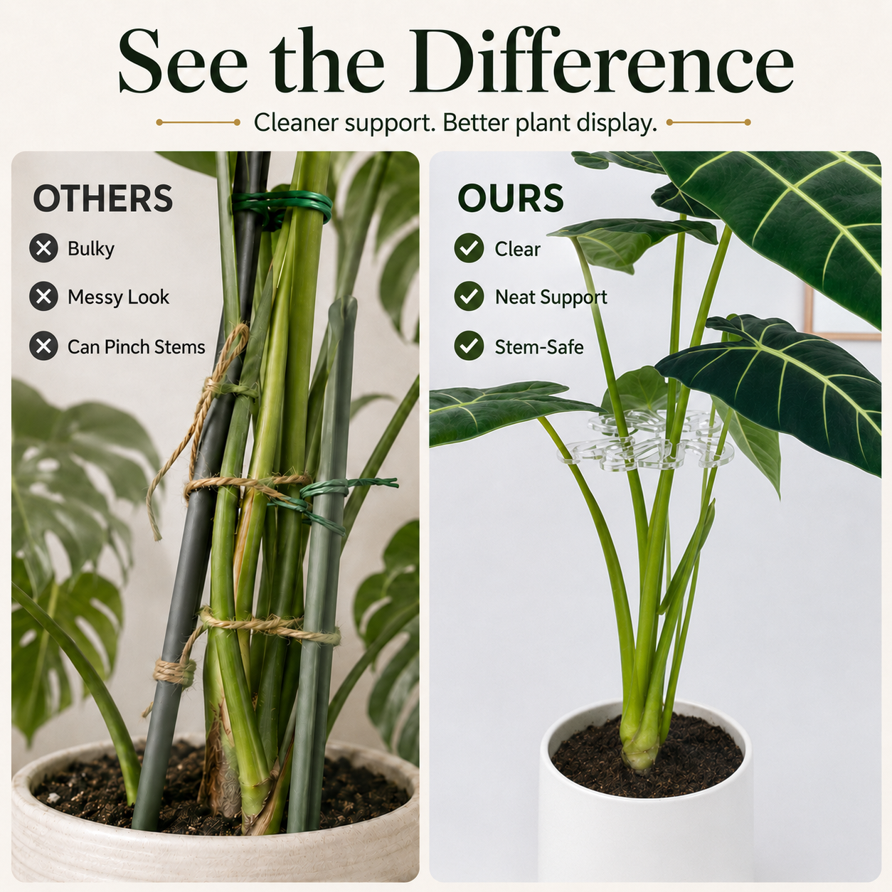 🏷️Invisible Clear Plant Support Ring Hooks  (8 / 12 / 20 Pack)