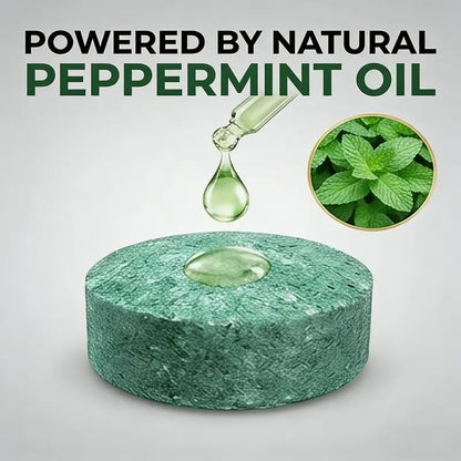 🌿 12-Pack Natural Rodent Repellent Balls – Peppermint & Lemon Oil