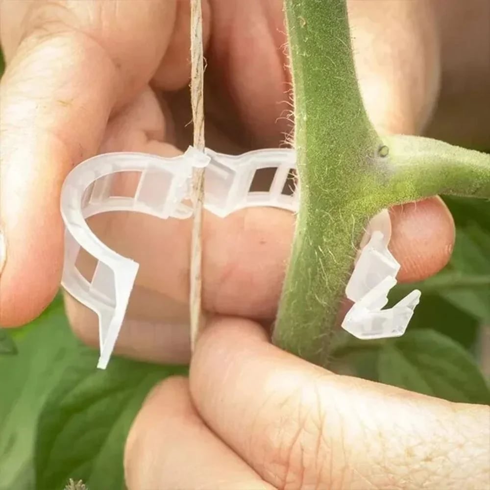 reusable-plant-support-clips-100-clips-6089