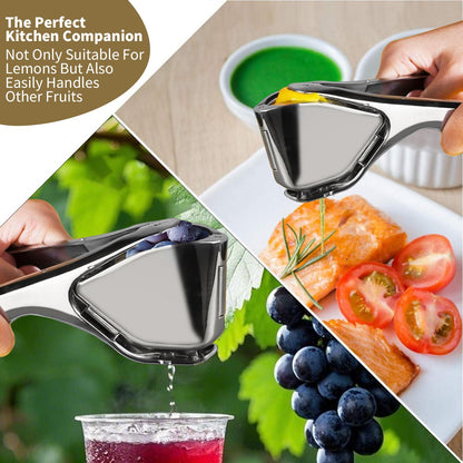 citrus-squeezer-stainless-steel-or-pp-5733