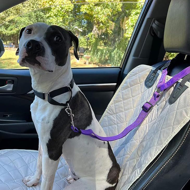 2-in-1-dog-car-seat-belt-walking-leash-7754