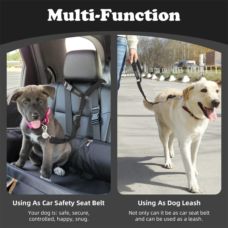 2-in-1-dog-car-seat-belt-walking-leash-7754