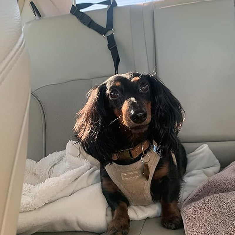 2-in-1-dog-car-seat-belt-walking-leash-7754