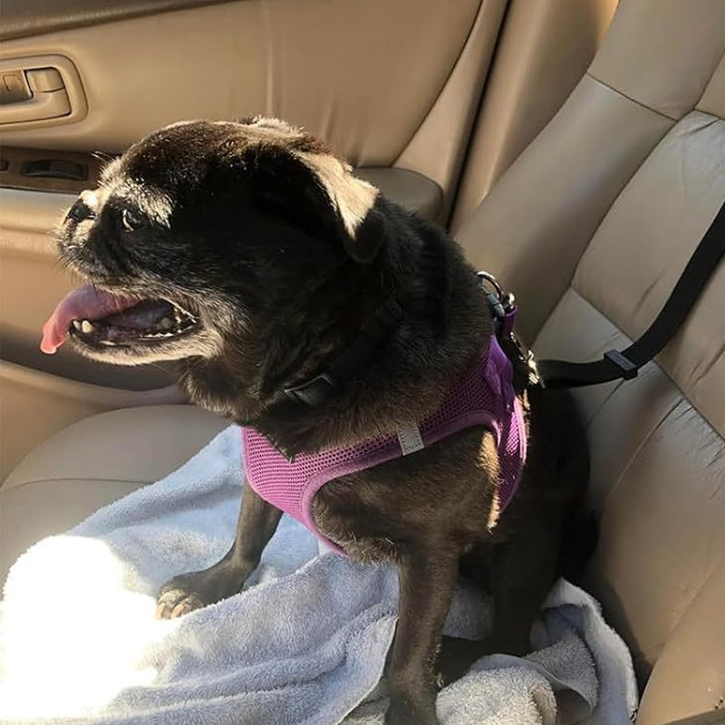 2-in-1-dog-car-seat-belt-walking-leash-7754
