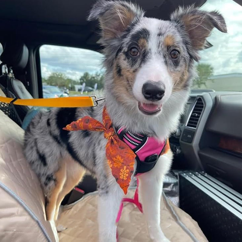 2-in-1-dog-car-seat-belt-walking-leash-7754